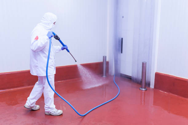 Best Oil Spill Cleanup  in Bellevue, IA