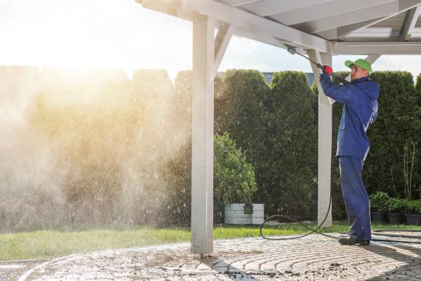 Animal Enclosure Cleaning in Bellevue, IA