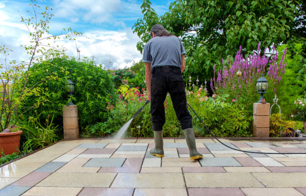 Best Fence Cleaning  in Bellevue, IA