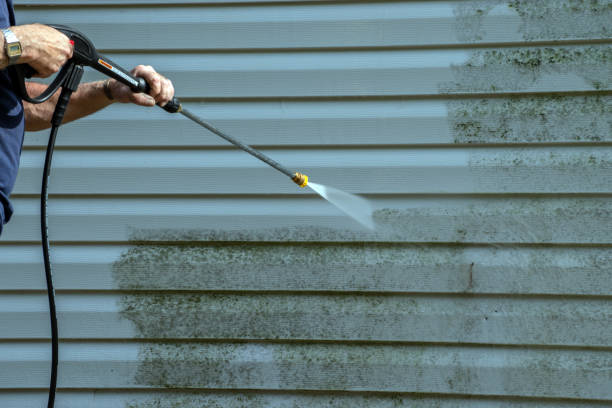 Best Dumpster Area Cleaning  in Bellevue, IA